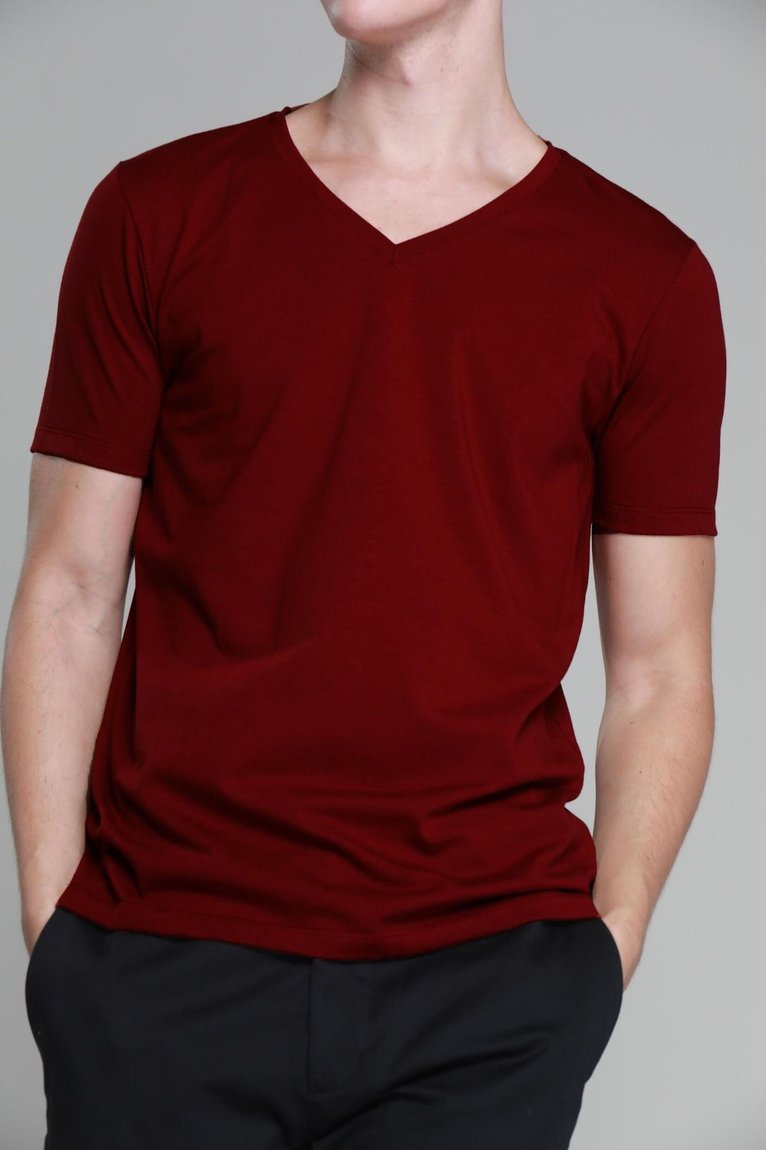 16_10_7_752_wshirt_algodaopreimum_golaV_bordoMarsala3_web