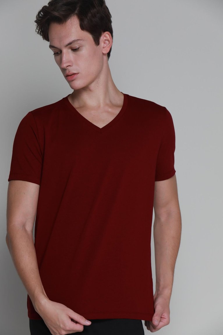 16_10_0_088_wshirt_algodaopreimum_golaV_bordoMarsala1_web