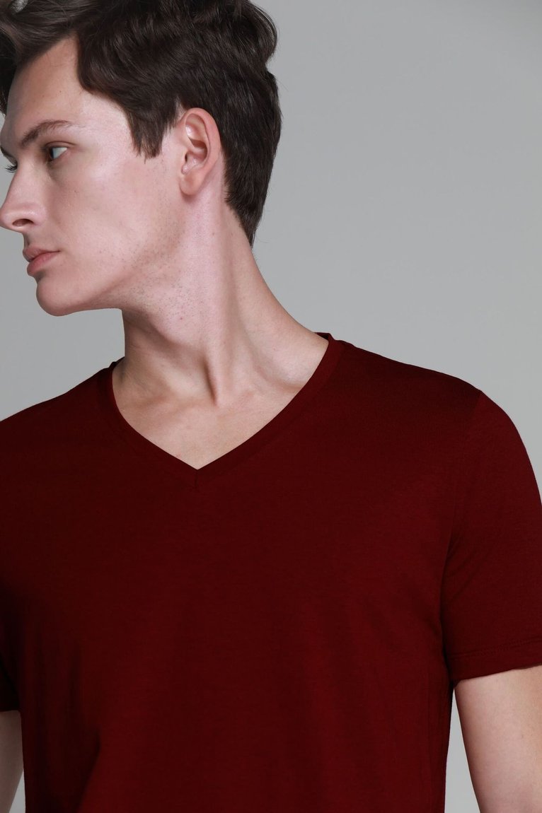16_10_2_220_wshirt_algodaopreimum_golaV_bordoMarsala2_web